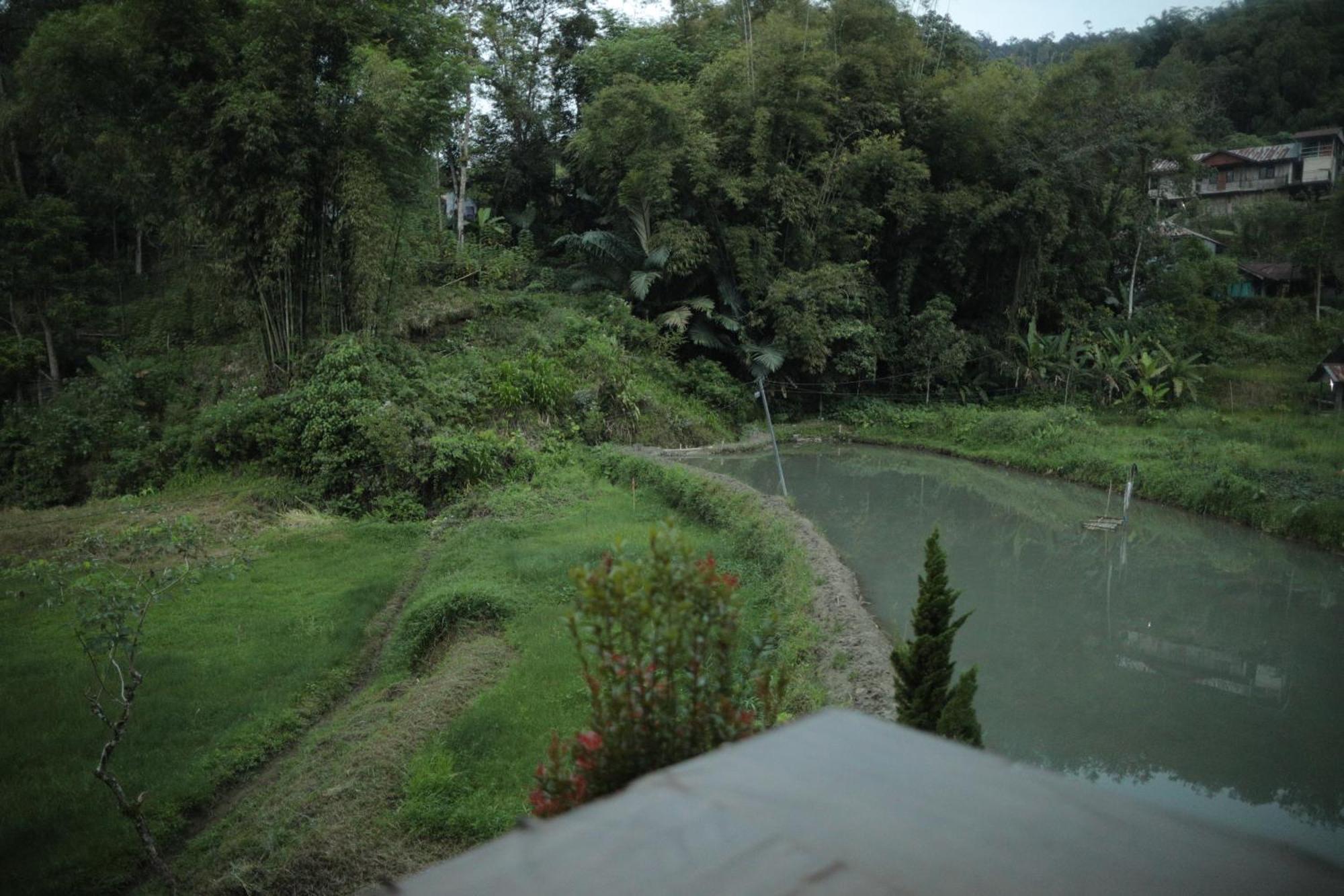 Mama Tia Family Homestay Rantepao Exterior foto